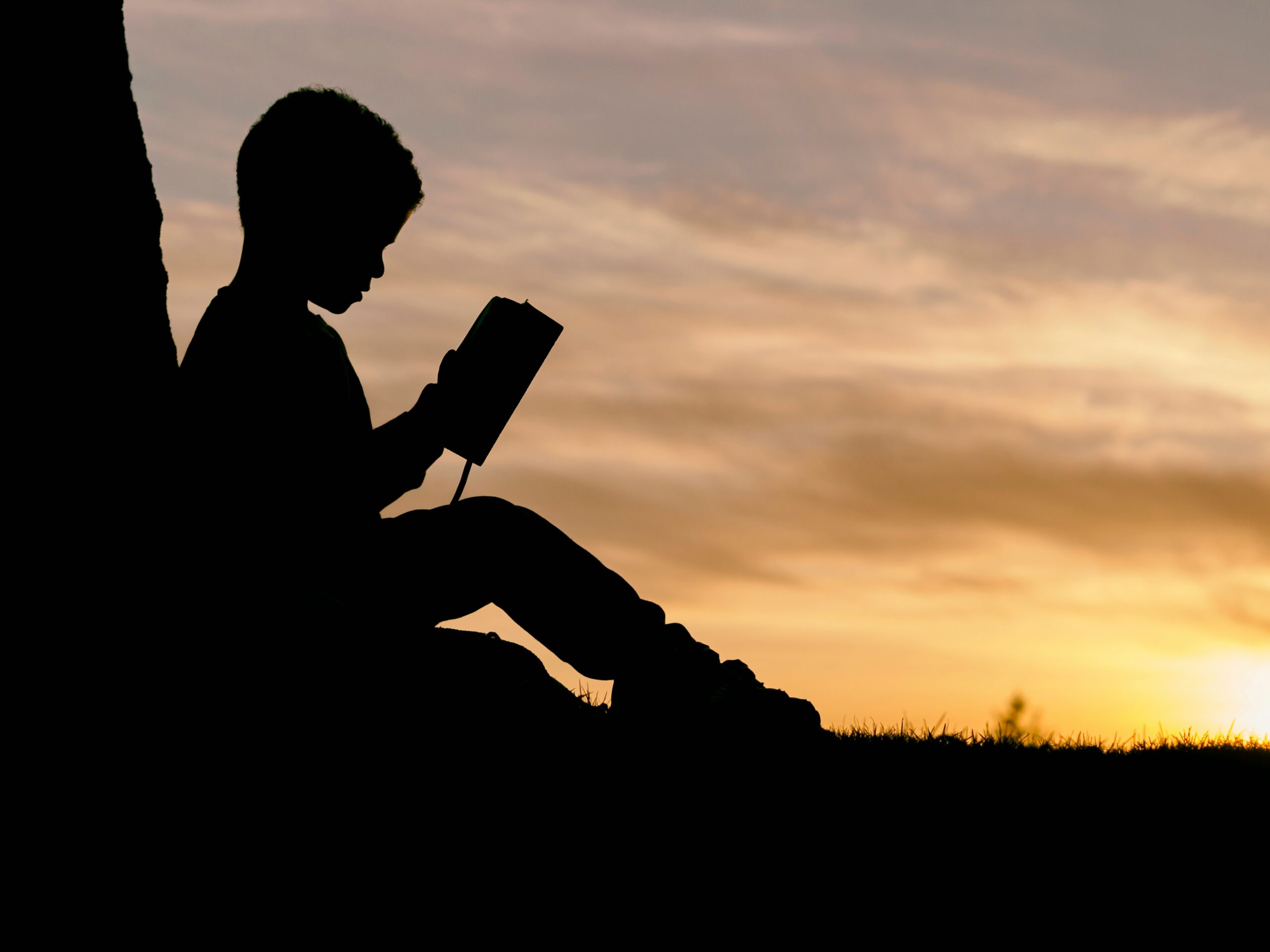 A silhouette of a young boy reading a book with the sun setting in the background. emphasizing the importance of early education access.
